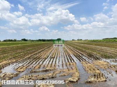 新港菜公厝方正美農地視意圖